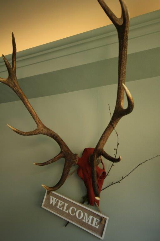Hotel Restaurant Struemper Hof Meerbusch Zewnętrze zdjęcie